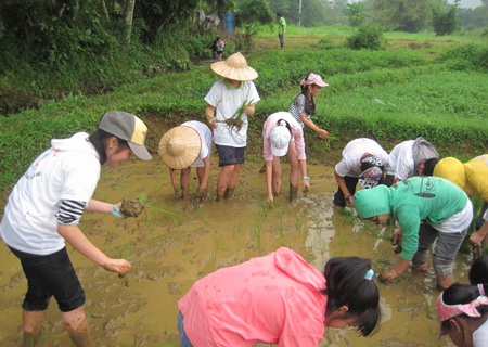 Khi học sinh thành thị được thử sức làm…nông dân - 1