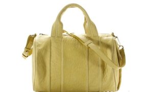 BST giày dép, túi xách Alexander Wang