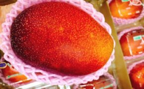 Nhà giàu ăn sang chảnh: Chùm nho 11 triệu, cặp dưa lưới giá 3 triệu