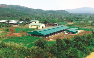 Thực phẩm ngoại đã đến thời “tự cung tự cấp”