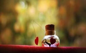 Nhật ký Radio số 4: Đám cưới đó có người tôi yêu