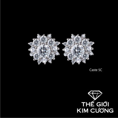 Thế giới kim cương ưu đãi mùa cưới 2012