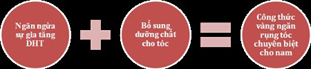 Công thức vàng giúp ngăn rụng tóc chuyên biệt cho nam