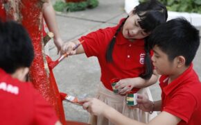 Cây lạ ở Đường sách Xuân Giáp Ngọ?