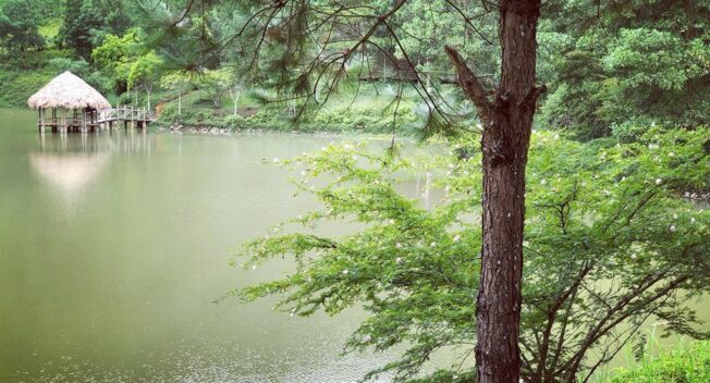 Du lịch sinh thái kết hợp nông nghiệp sạch – nghỉ dưỡng ven đô nâng tầm mới