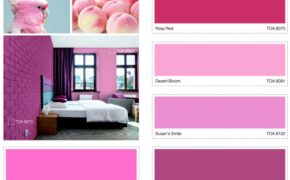 Xu hướng sắc màu năm 2019 – The Color Story