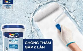 Thấm tường – Chủ quan lúc đầu, hệ lụy dài lâu
