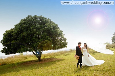 Hệ thống showroom Phượng Anh Wedding: