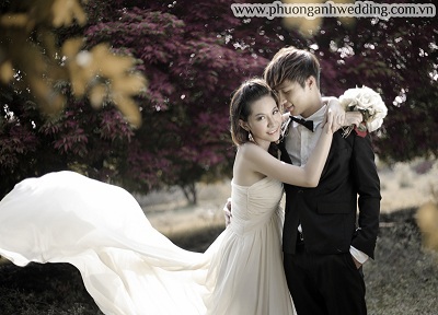 Hệ thống showroom Phượng Anh Wedding: