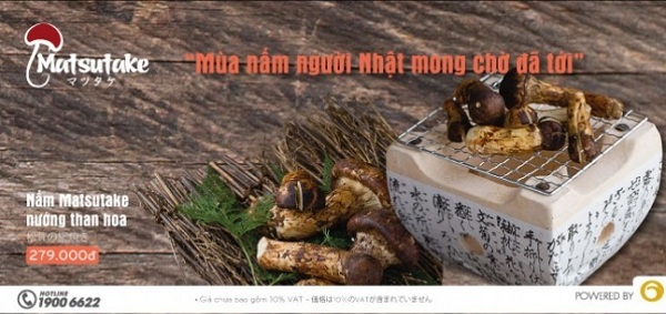 Matsutake - Mùa nấm người Nhật mong chờ, bạn đã có cơ hội thưởng thức?