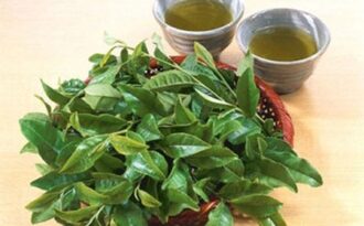 Tóc cũng cần “uống” nước như cơ thể!