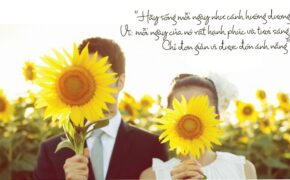 Bạn khao khát được tươi sáng mỗi ngày?