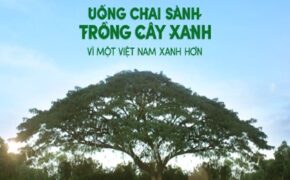 Chiêm ngưỡng chuông gió khổng lồ thiên nhiên từ hàng ngàn chai thủy tinh