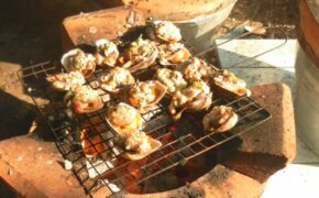 Sò nướng mỡ hành