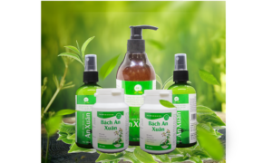 Xóa tan nỗi lo các bệnh về tóc qua các loại dược liệu thảo dược