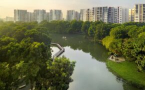 Sống xanh – chuẩn mực mới của cuộc sống hiện đại