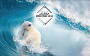 Sơn chống nóng ARIA POLA: Làm mát cho ngôi nhà và công trình của bạn!