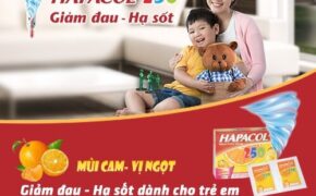 Tổng hợp một số cách đuổi muỗi tại nhà bạn nên biết