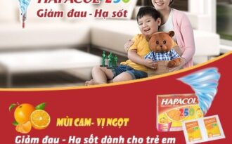 Tổng hợp một số cách đuổi muỗi tại nhà bạn nên biết