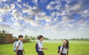 Thực hiện hành trình “Chung tay vun đắp những mầm xanh”