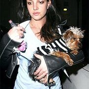 “Nơi ở tốt nhất dành cho Britney là… bệnh viện”