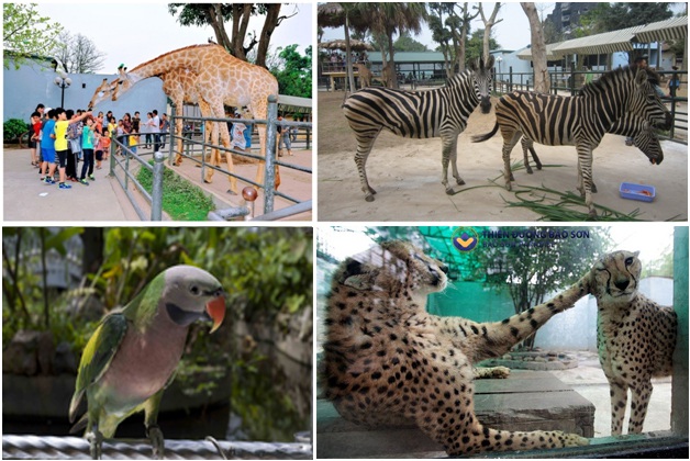 Một ngày lên “Thiên đường Bảo Sơn”