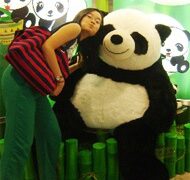 Chimu – một teen “phượt” rất cừ