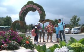 “Cha con hợp sức”, chuyến hành trình thú vị của cha và con