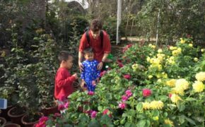 Khơi “giác quan” khám phá ở trẻ tại ngày hội “Vẽ nặn thiên nhiên”