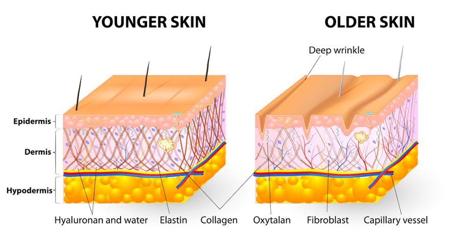 Bí quyết trẻ đẹp và ngăn ngừa nám của phụ nữ Nhật