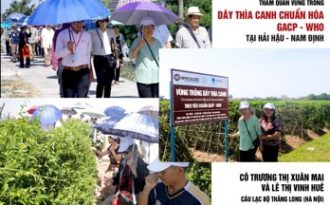 Giải mã sản phẩm dành cho người tiểu đường được tin dùng nhất