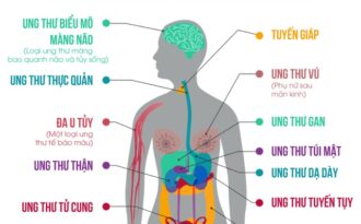 Dân Hà Nội đổ xô kinh doanh, thị trường Café giảm cân Edally Hàn Quốc phát triển mạnh