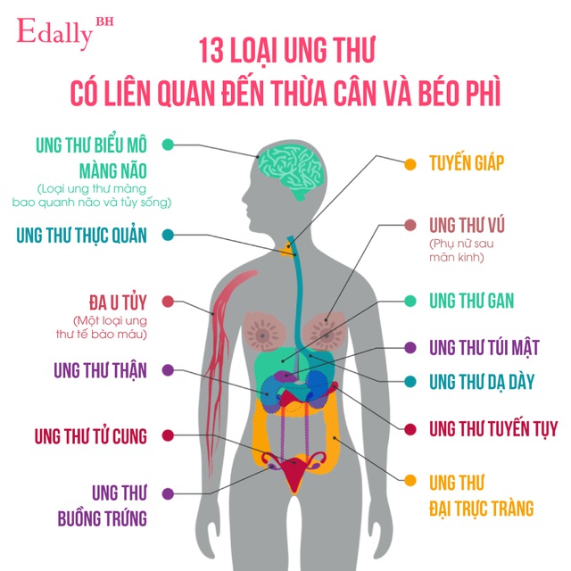 Dân Hà Nội đổ xô kinh doanh, thị trường Café giảm cân Edally Hàn Quốc phát triển mạnh - 1