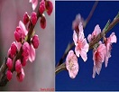 Đầu tư cho làn da trắng sáng