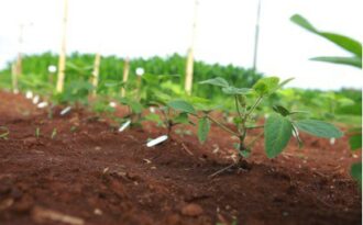 Những gì của đất rồi lại trở về với đất