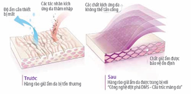  Tác dụng của sản phẩm dưỡng ẩm có công nghệ DMS