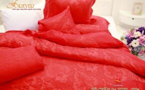 Forever – Câu chuyện… Chất liệu làm nên thương hiệu