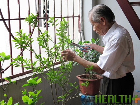 Bệnh parkinson thuyên giảm, ông Dương tự tay chăm sóc cây cảnh (nguồn healthplus.vn)