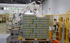 Đường đến 1 tỉ USD của đậu nành Việt