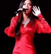 Top 20 nghệ sĩ nộp thuế nhiều nhất năm 2006