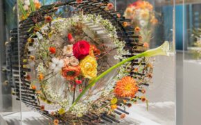 Ấn tượng triển lãm hoa tươi nghệ thuật “Thu gọi”