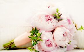 Hoa Mẫu Đơn cho “Ngày của mẹ”