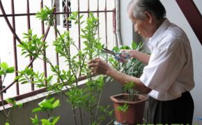 Giữ hay chia sẻ bí mật về bệnh Parkinson?