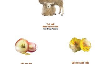 Trắc nghiệm mức độ lão hoá da cho nàng 30+