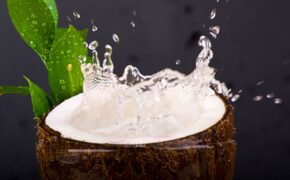 Những tác dụng không thể làm ngơ của nước dừa với sức khỏe