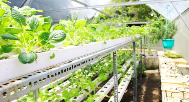 “Sống xanh phải đến từ những hành động nhỏ nhất”