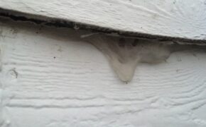 Lựa chọn keo xây dựng phù hợp với khí hậu của Việt Nam