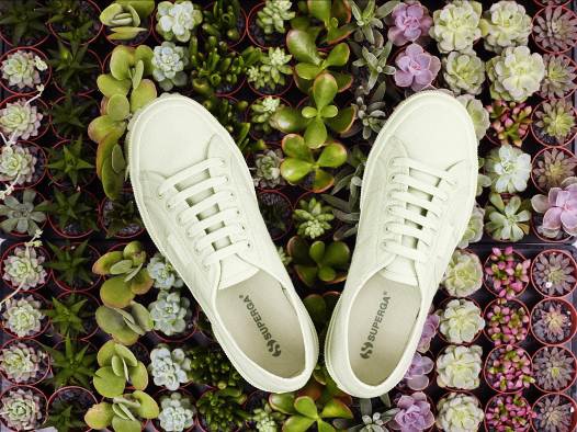 Superga với nét đẹp cổ điển tinh tế nhưng không kém phần thanh lịch và trẻ trung luôn được nhiều bạn trẻ yêu thích