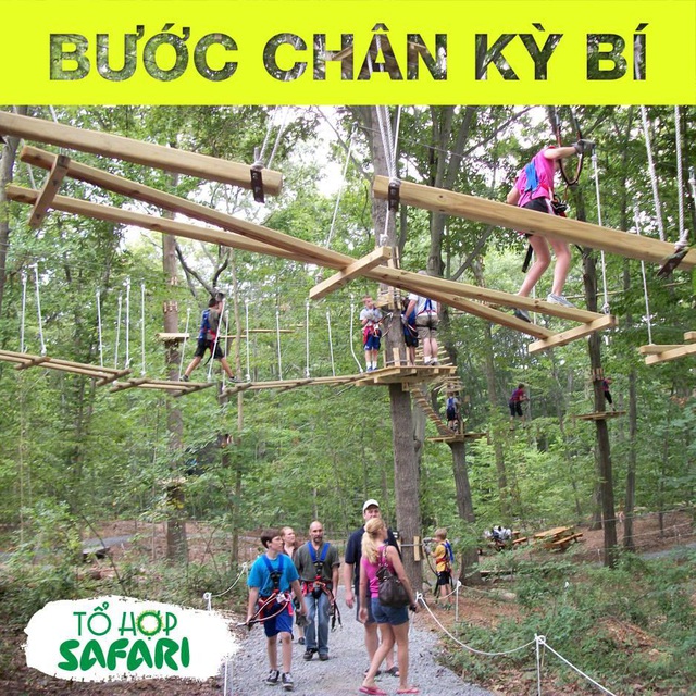 Mở cửa tổ hợp Safari đầu tiên tại Hà Nội - 6