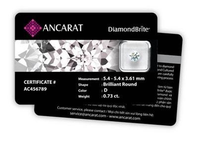 Sành điệu cùng trang sức Ancarat - 3